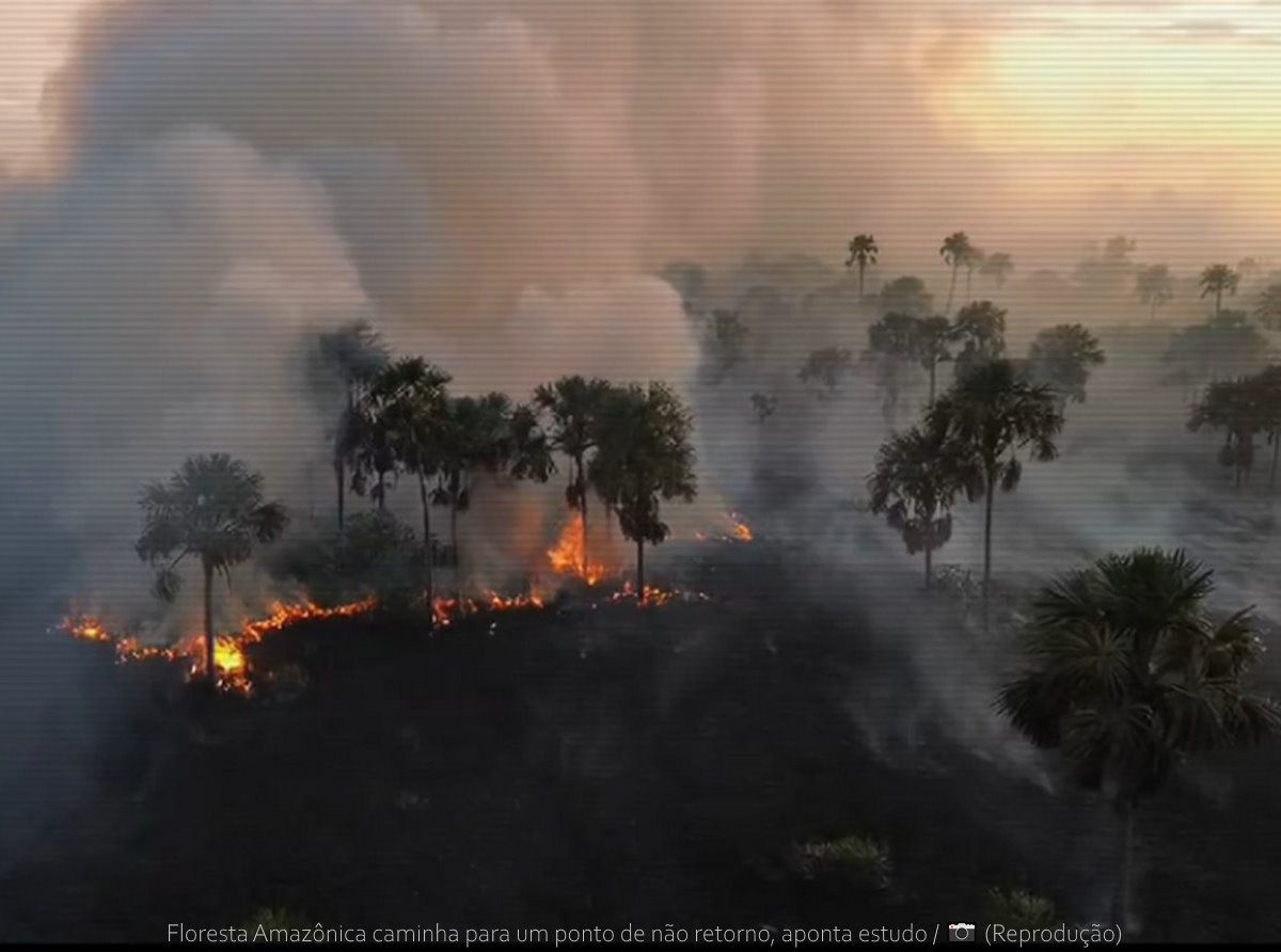 Floresta Amazônica caminha para um ponto de não retorno, aponta estudo / (Reprodução)