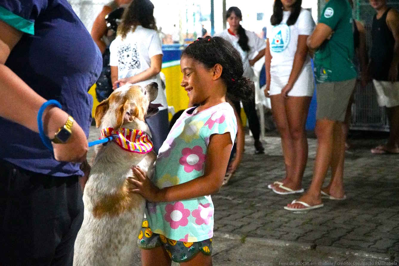Feira de adoção em Ilhabela / crédito: Divulgação PMIlhabela